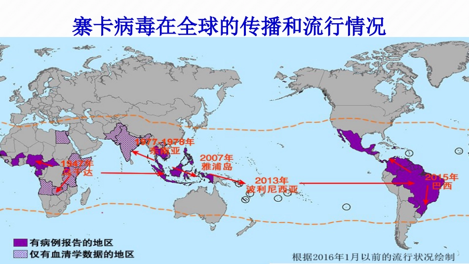 寨卡病毒的基本知识_第2页