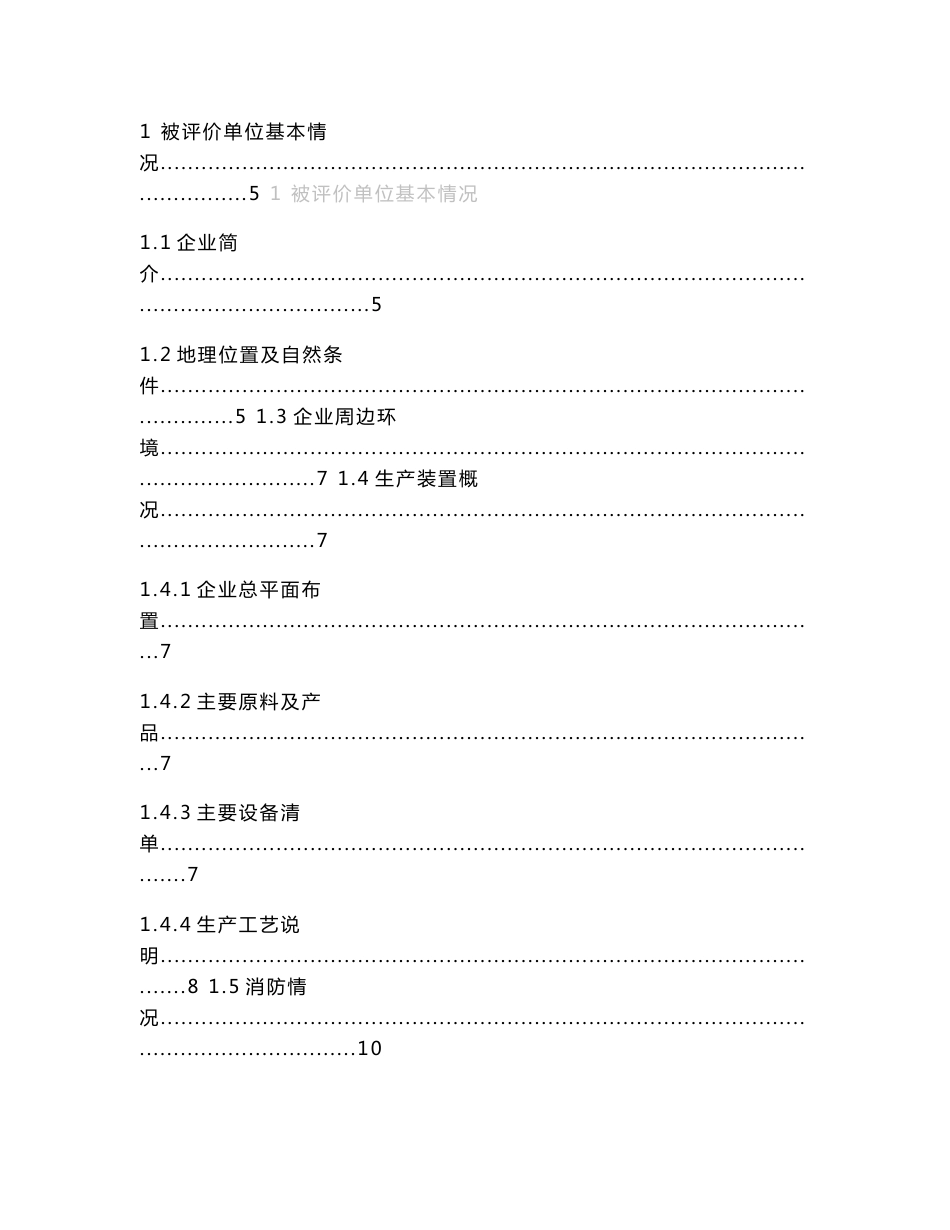 可研报告-XX气体有限公司乙炔站安全评价报告_第2页