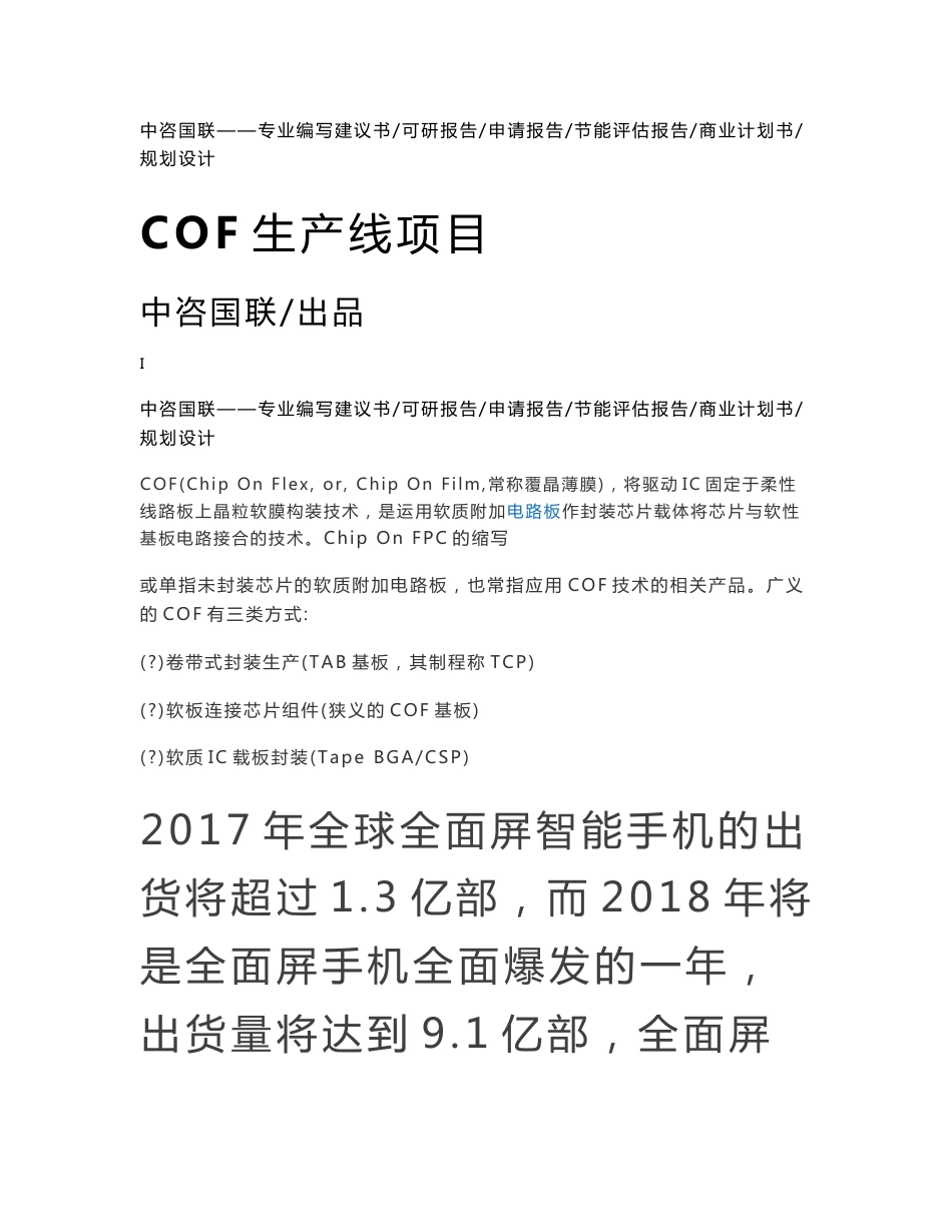 COF生产线项目可行性研究报告申请报告案例可编辑_第1页