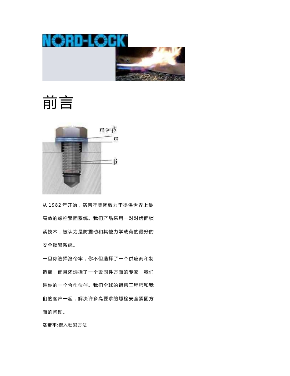 Nord-Lock防松垫片中文产品手册-2017_第3页