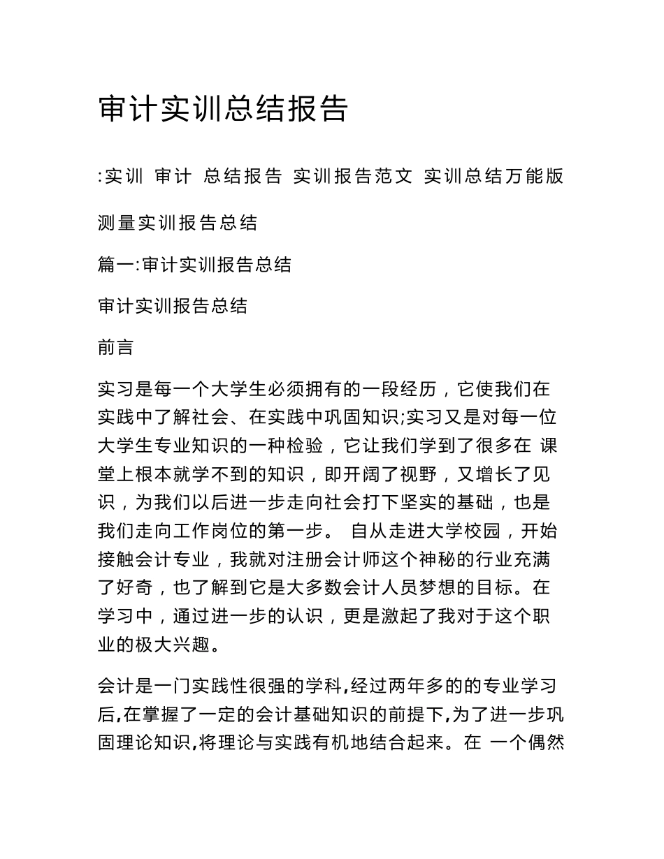 审计实训总结报告_第1页