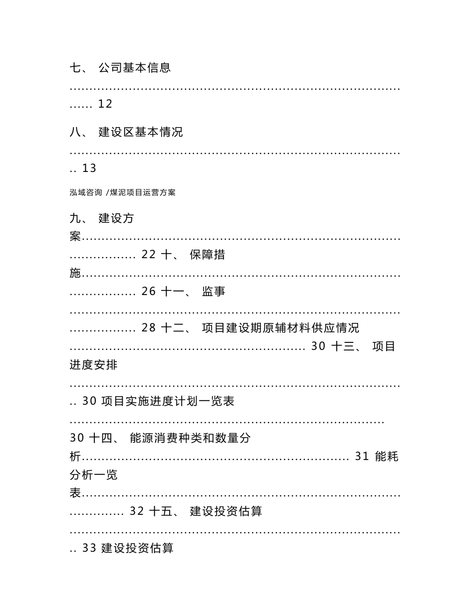 煤泥项目运营方案（范文参考）_第3页