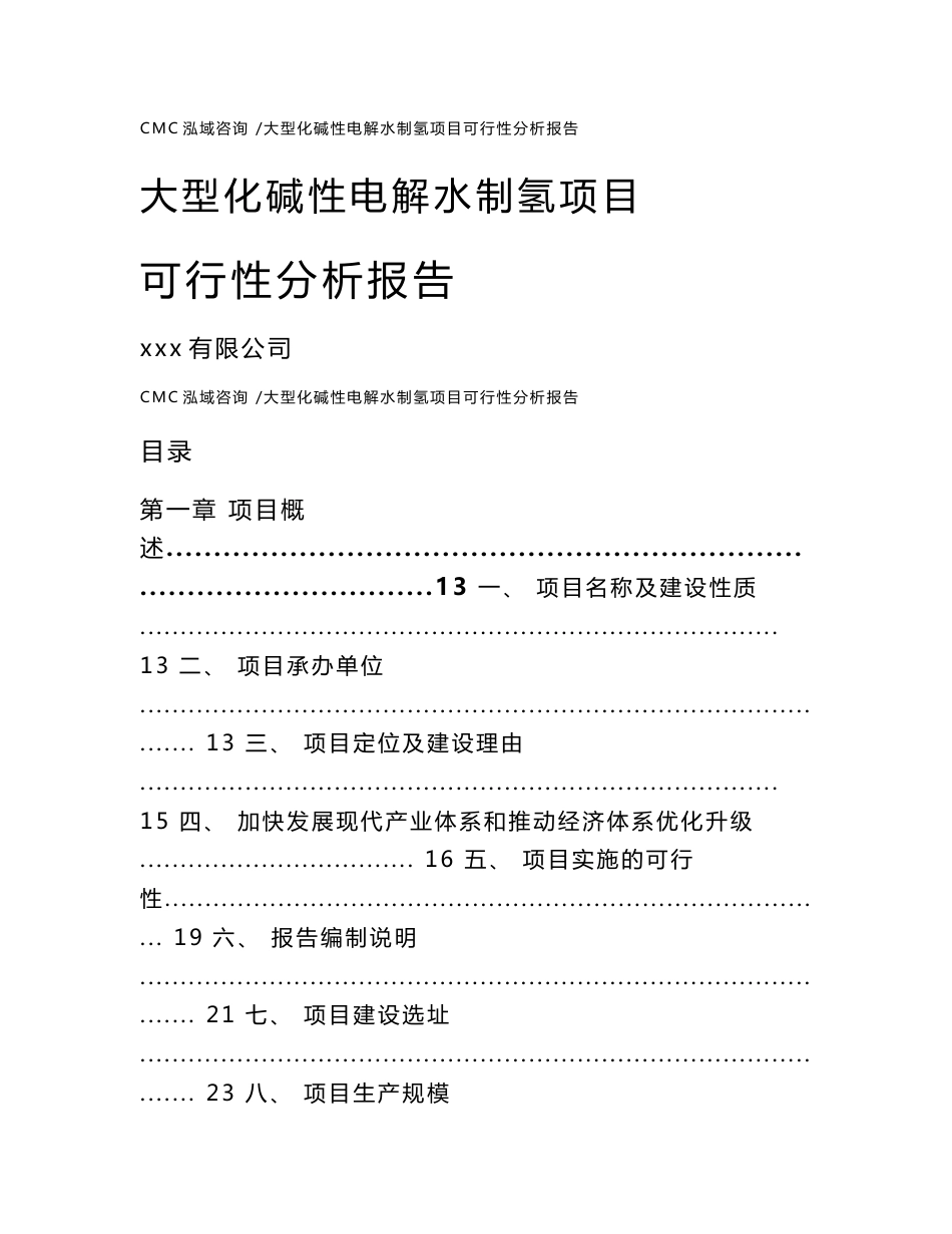 大型化碱性电解水制氢项目可行性分析报告_范文参考_第1页