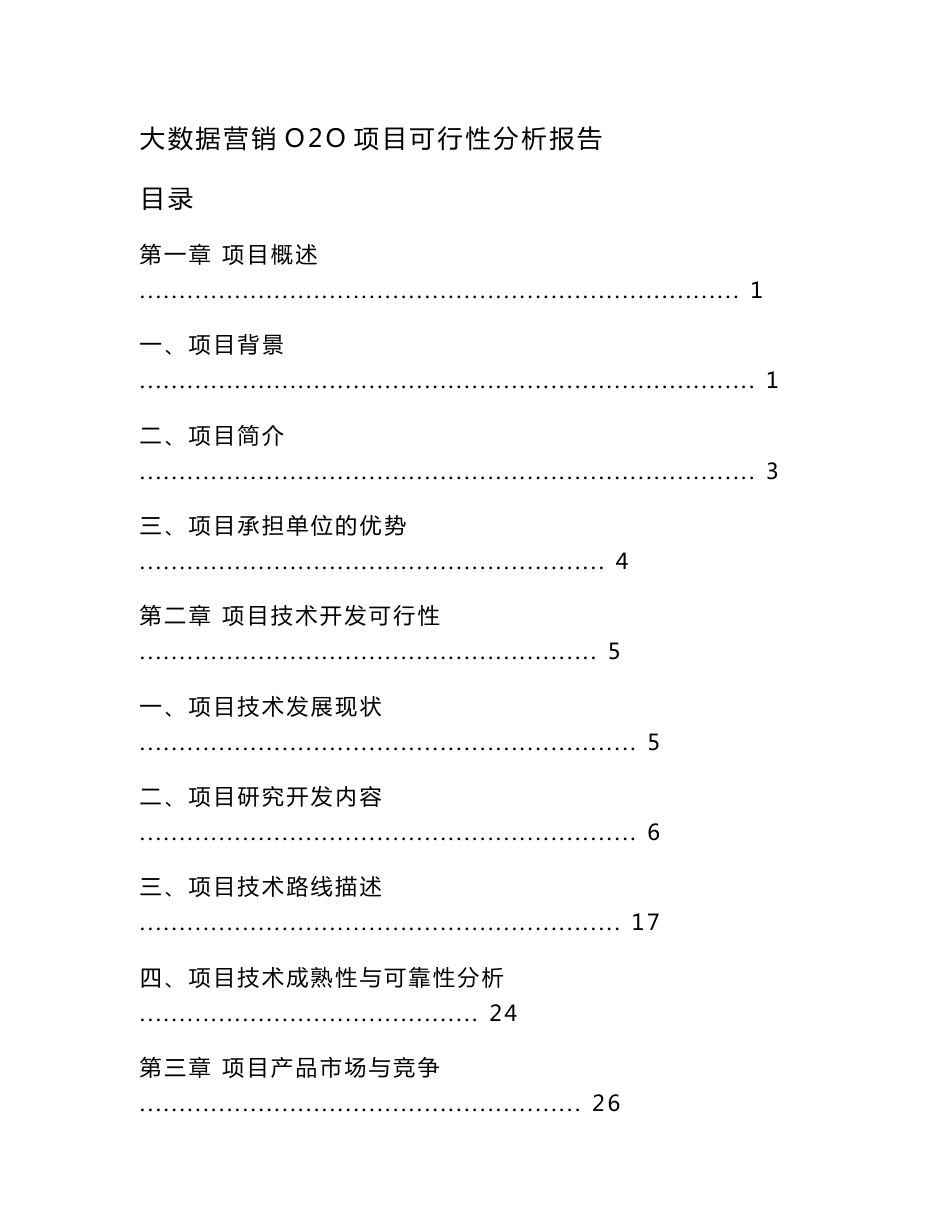 大数据营销O2O项目可行性研究报告_第1页