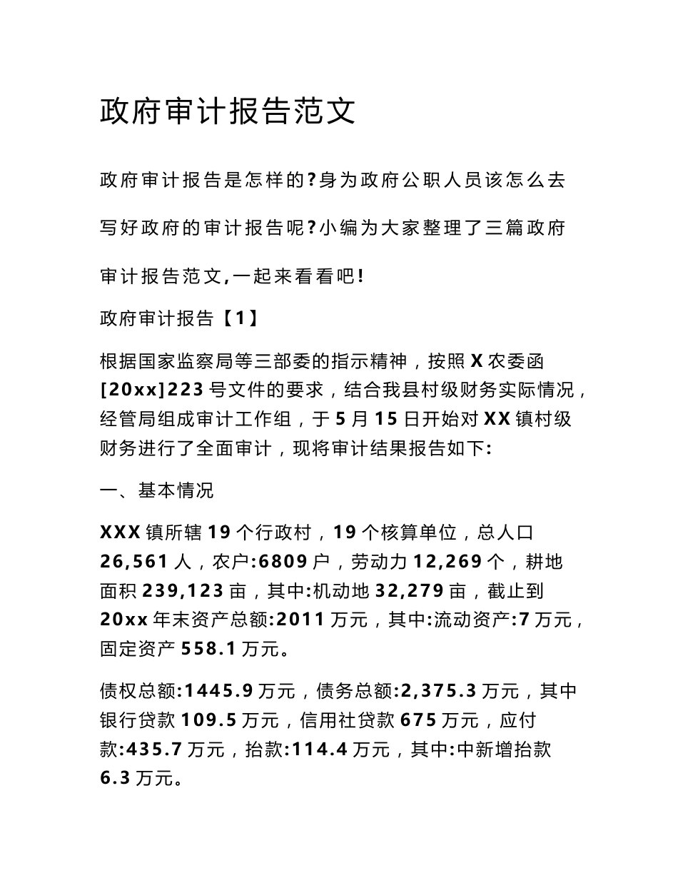 政府审计报告范文_第1页