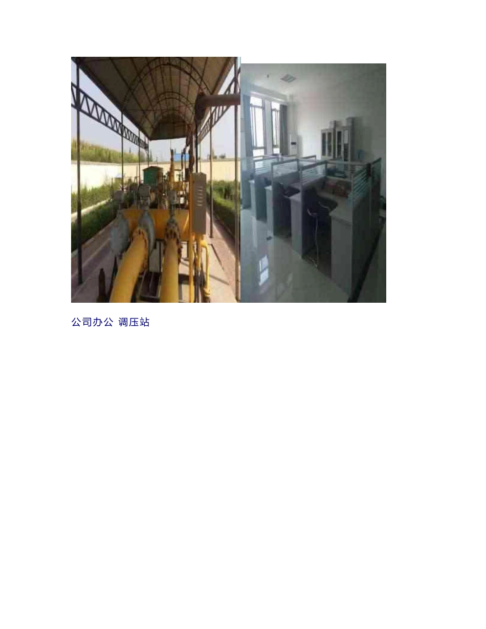 燃气公司应急预案_第2页