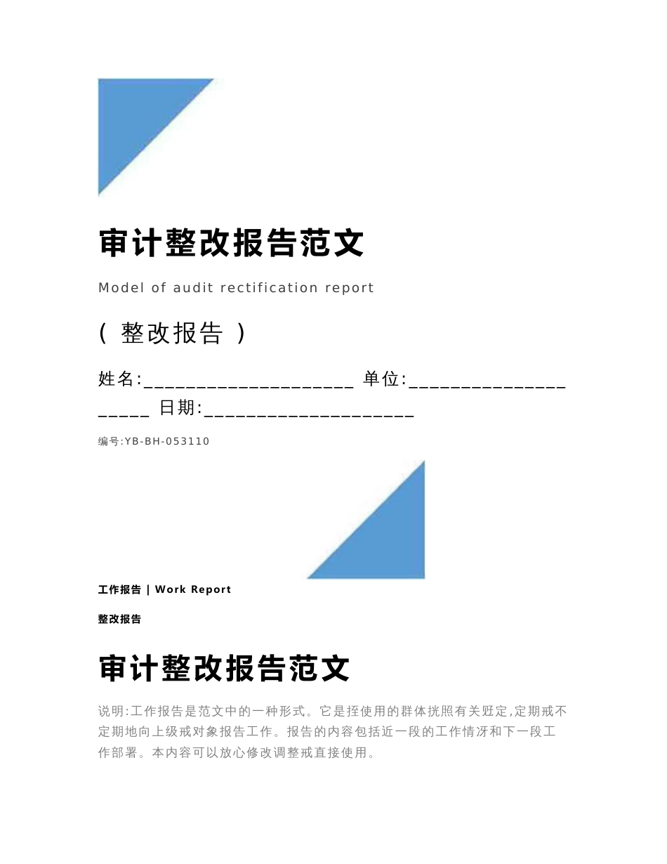 审计整改报告范文_第1页