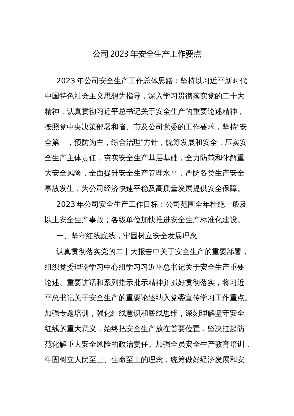 公司企业2023年安全生产工作要点_第1页