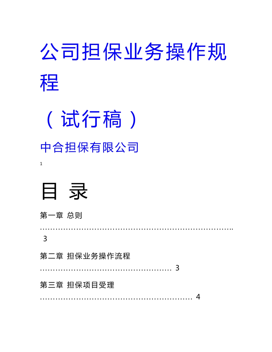 公司担保业务操作规程（试行）WORD版_第1页