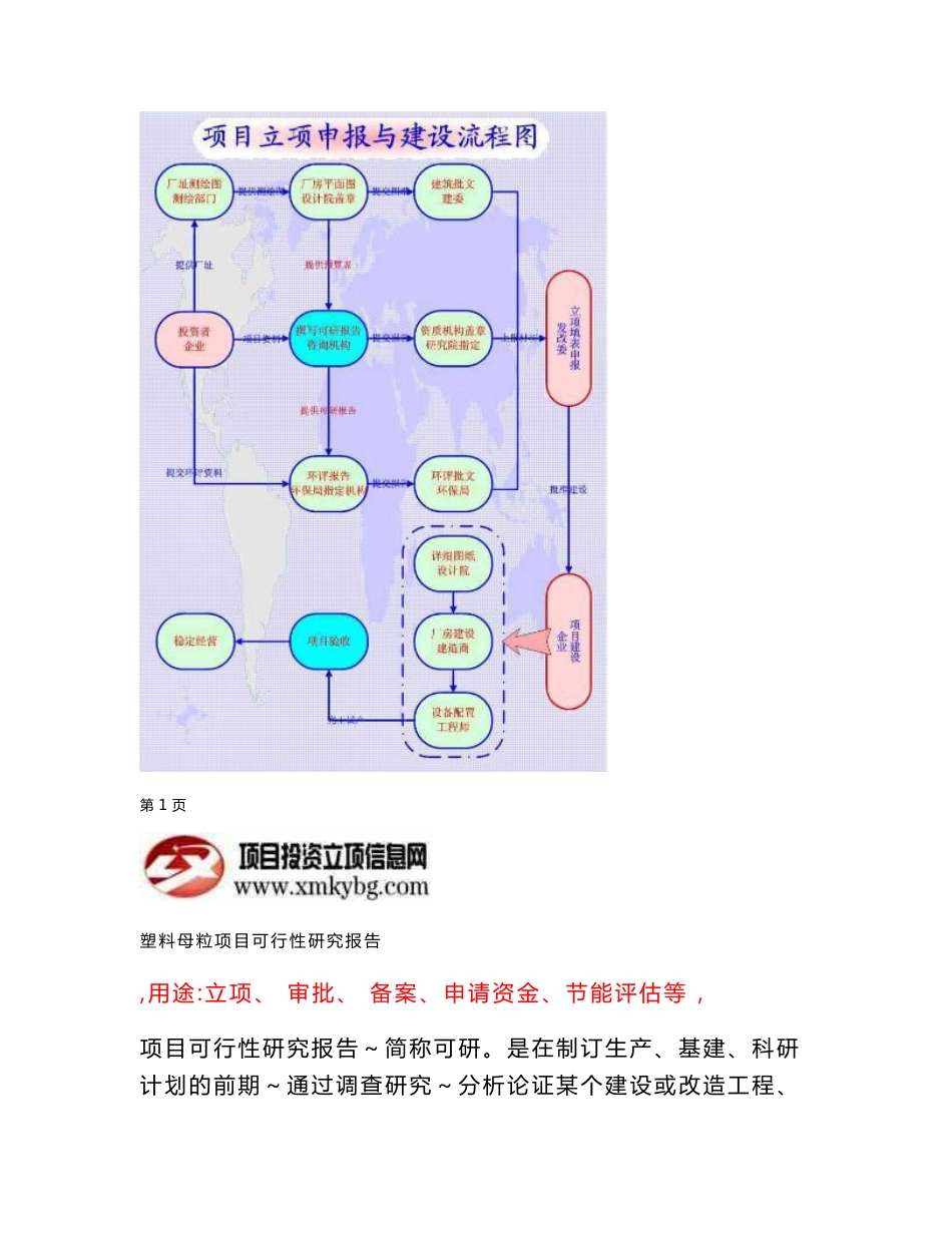 塑料母粒项目可行性研究报告（备案立项申请）_第2页