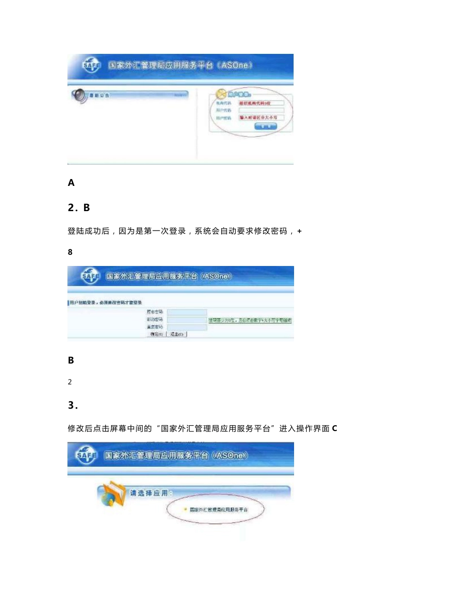 国际收支网上申报系统(企业版)基本操作说明_第2页