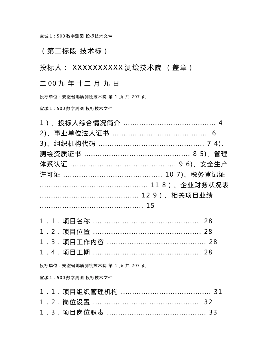 测绘项目投标技术文件范例_第1页