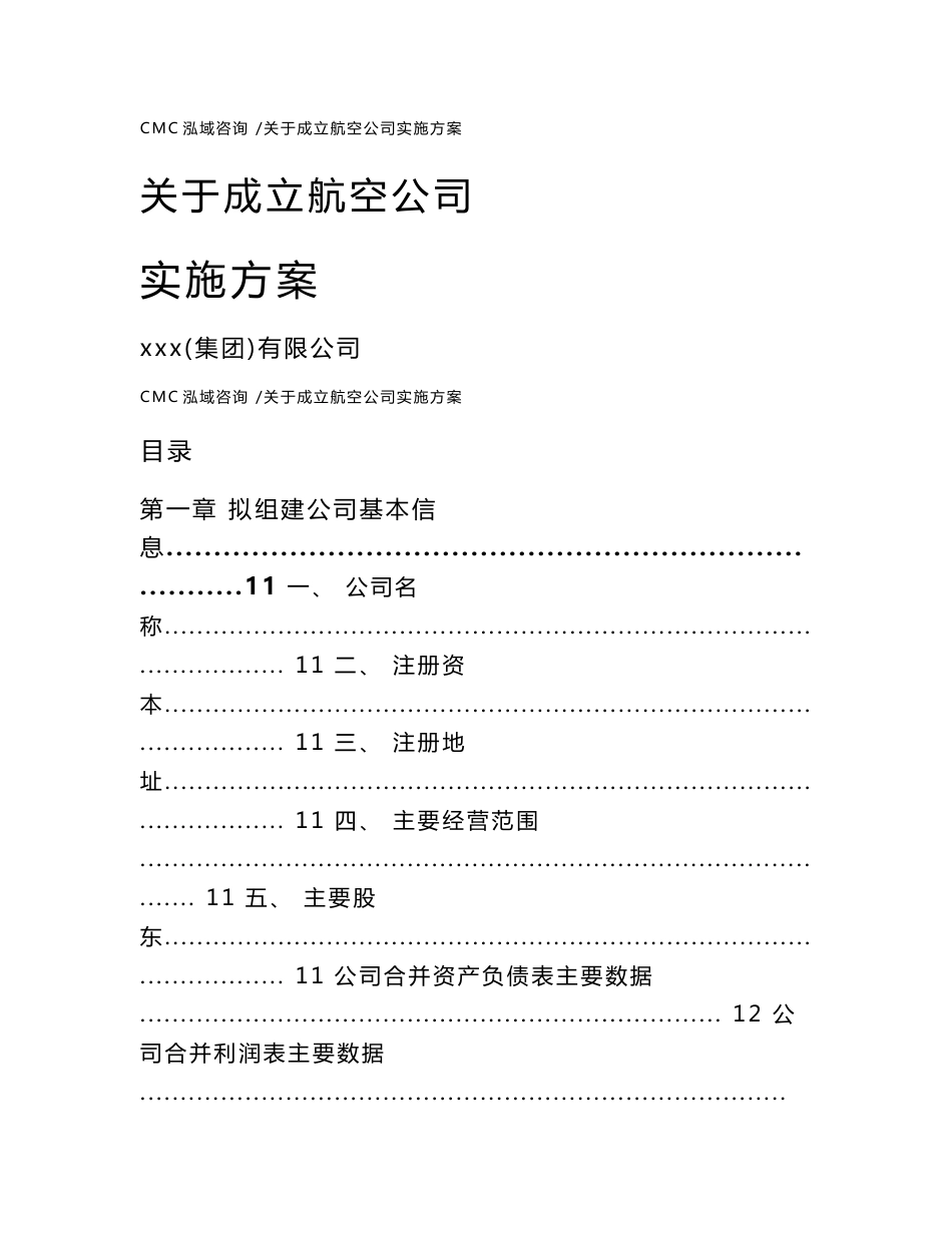 关于成立航空公司实施方案-（模板范文）_第1页