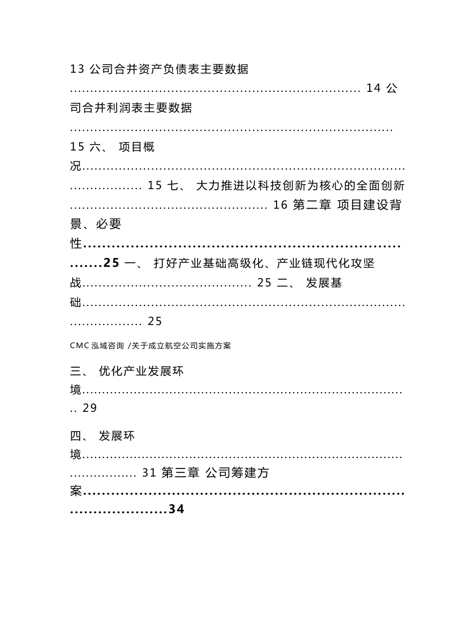 关于成立航空公司实施方案-（模板范文）_第2页