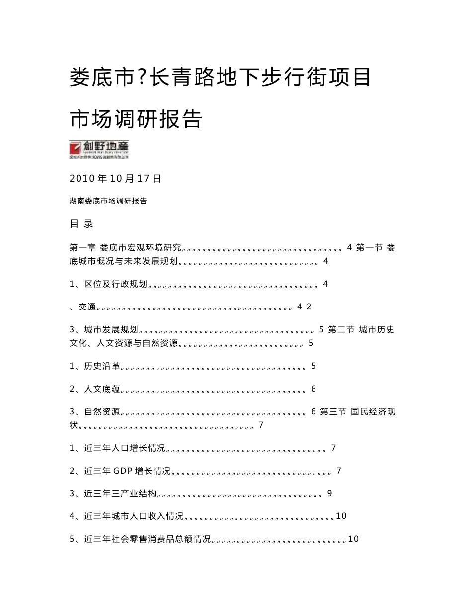 娄底市地下步行街项目市场调研报告201010_第1页