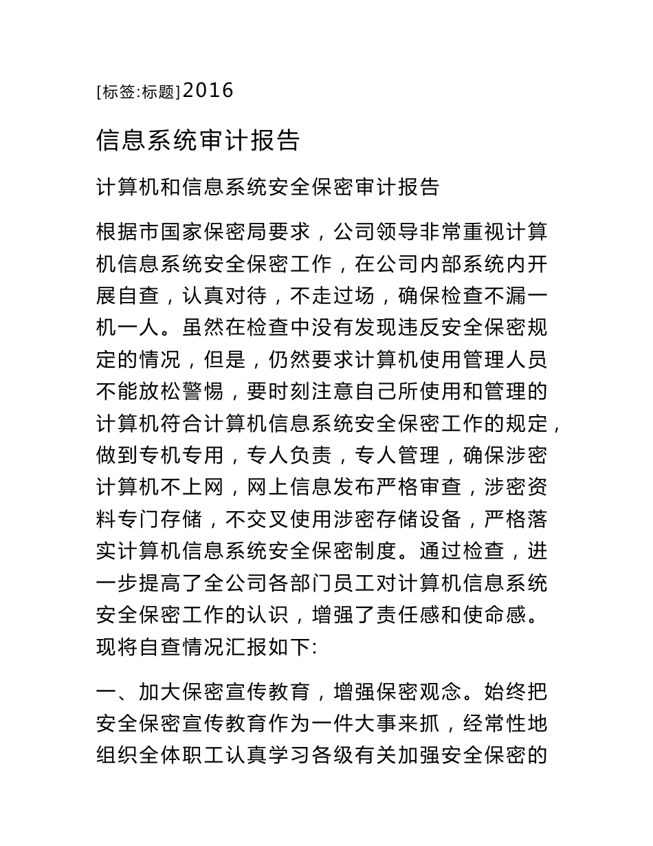 信息系统审计报告_第1页