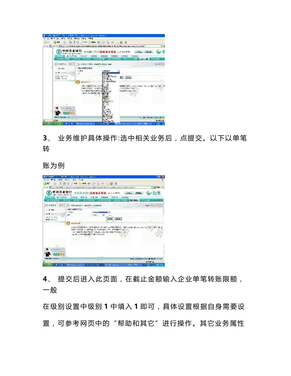 企业网上银行基本设置及单笔转账操作指南_第2页