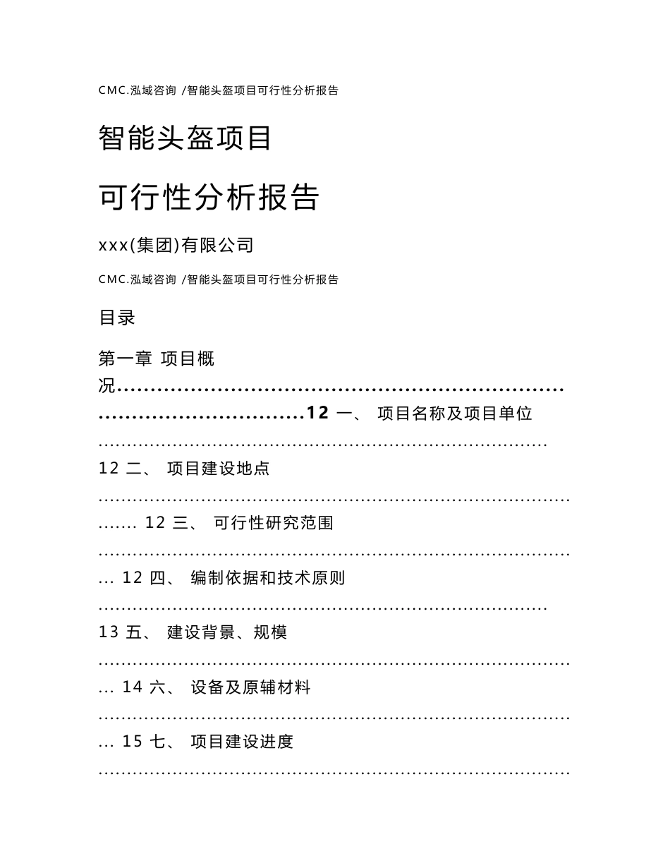 智能头盔项目可行性分析报告（范文参考）_第1页