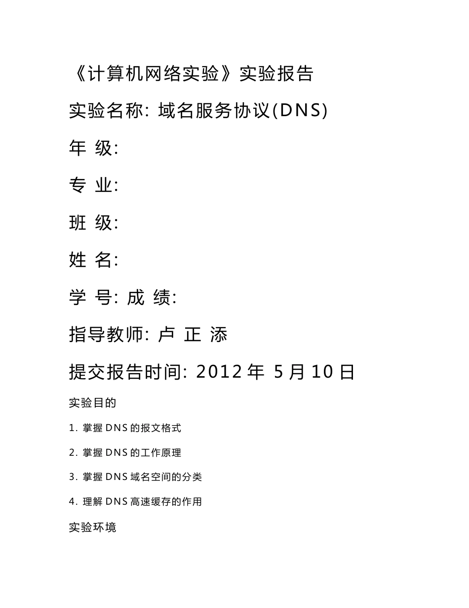 域名服务协议(DNS)_第1页
