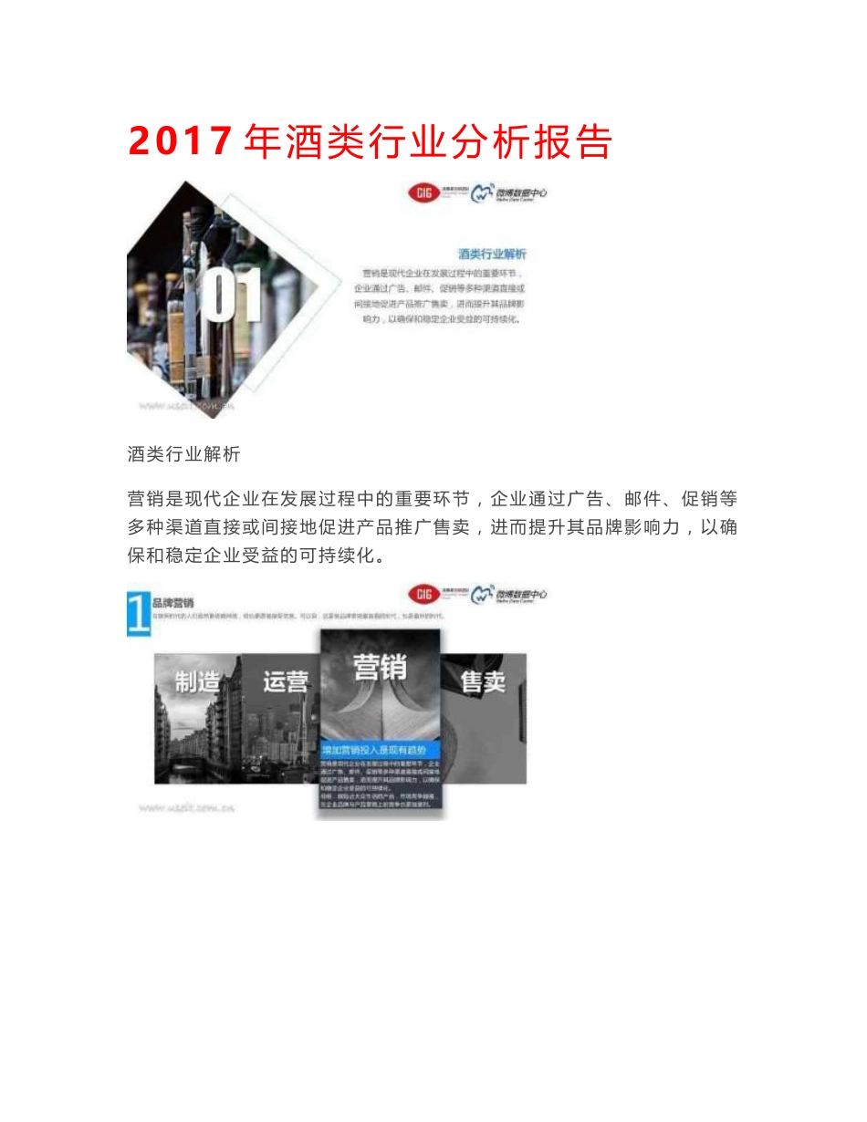 2017年酒类行业分析报告_第1页