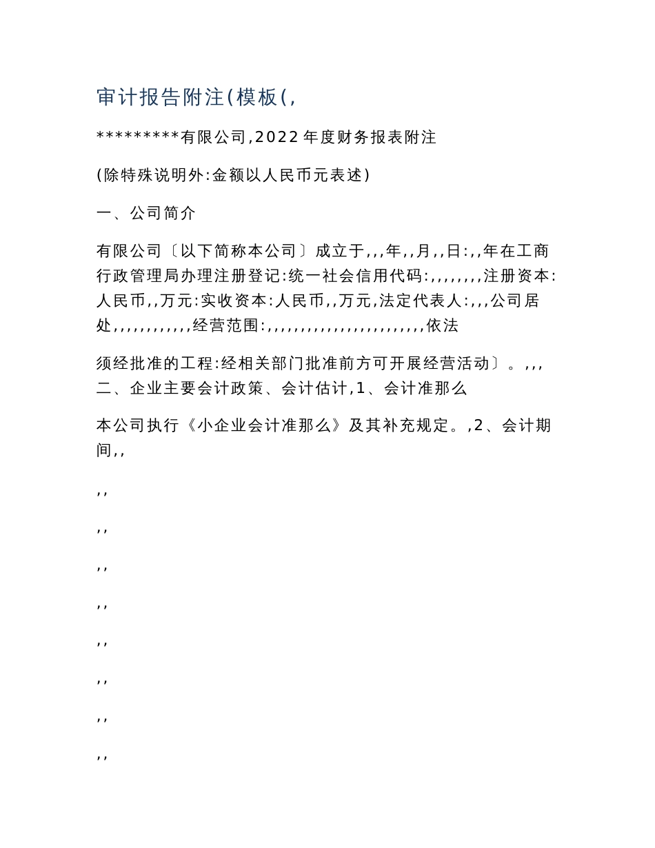 审计报告附注（模板）_第1页