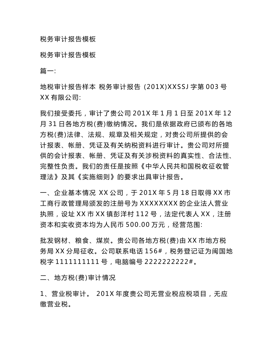 税务审计报告模板_第1页