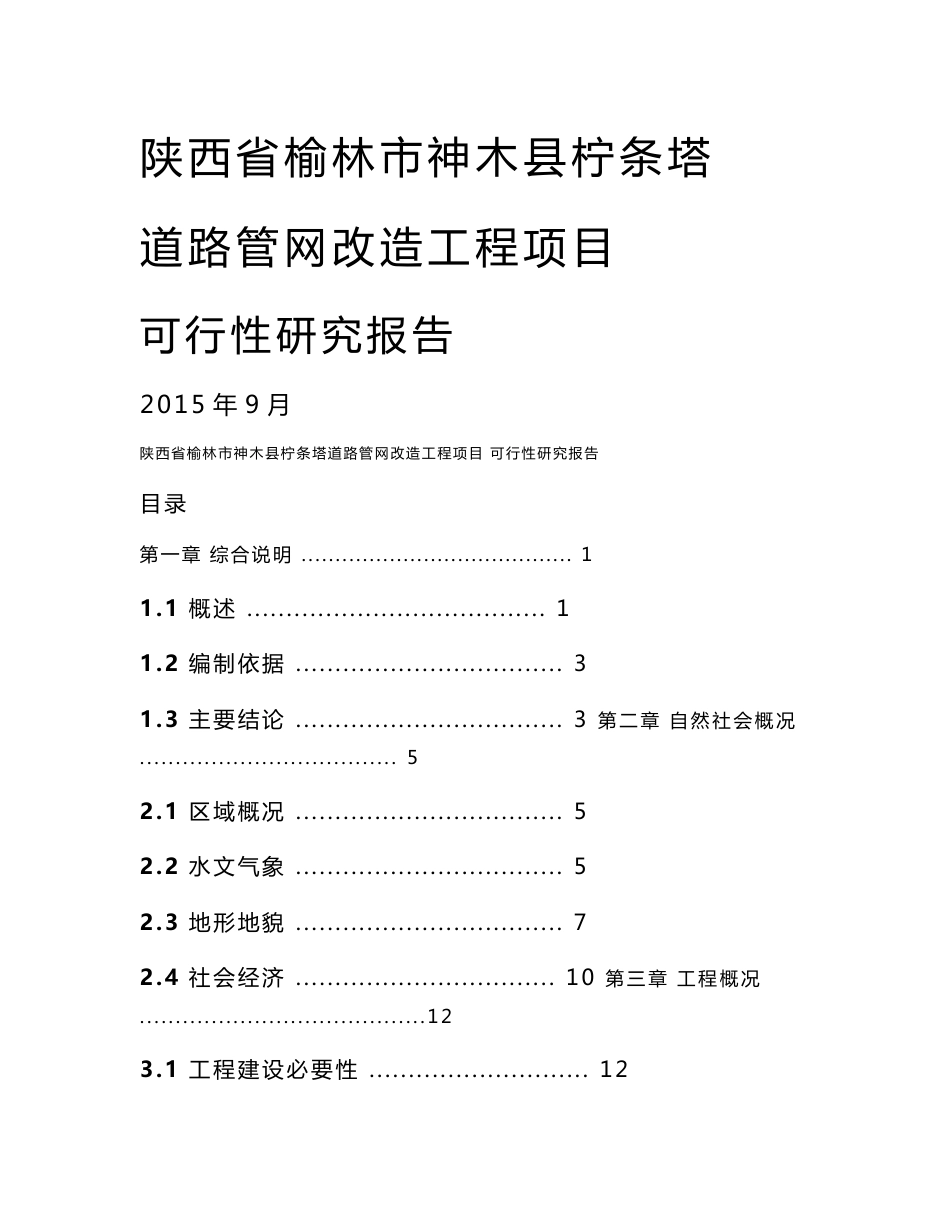 道路管网改造工程项目可行性研究报告_第1页