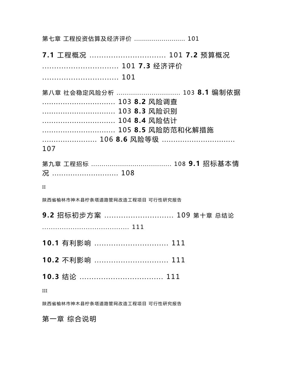 道路管网改造工程项目可行性研究报告_第3页