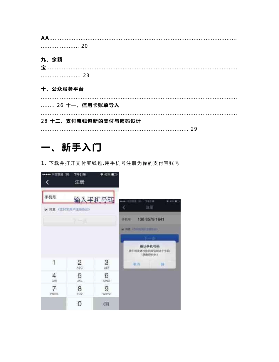 支付宝钱包使用指南_第2页