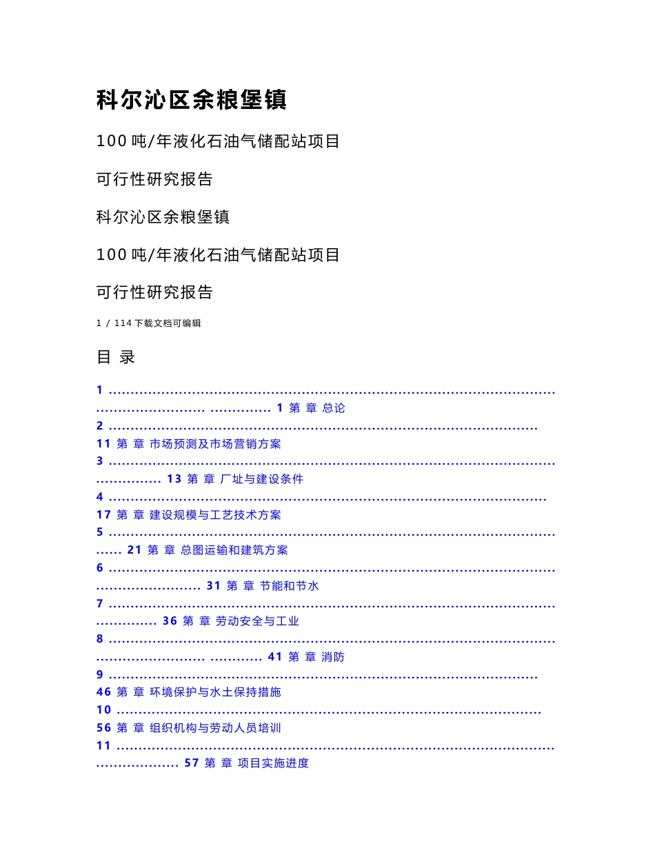液化气站项目可行性研究报告_第1页