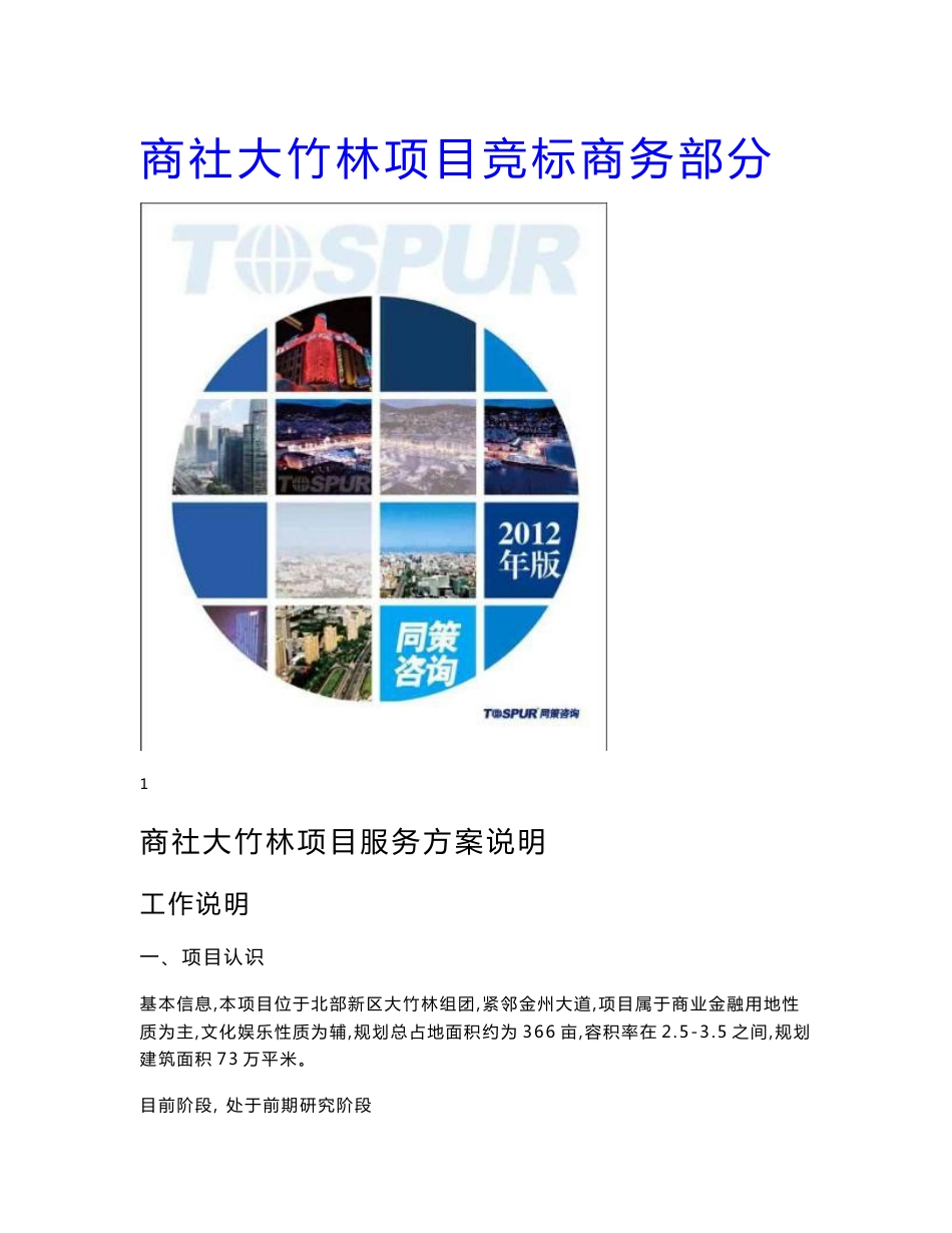 商社大竹林项目服务实施方案说明1_第1页