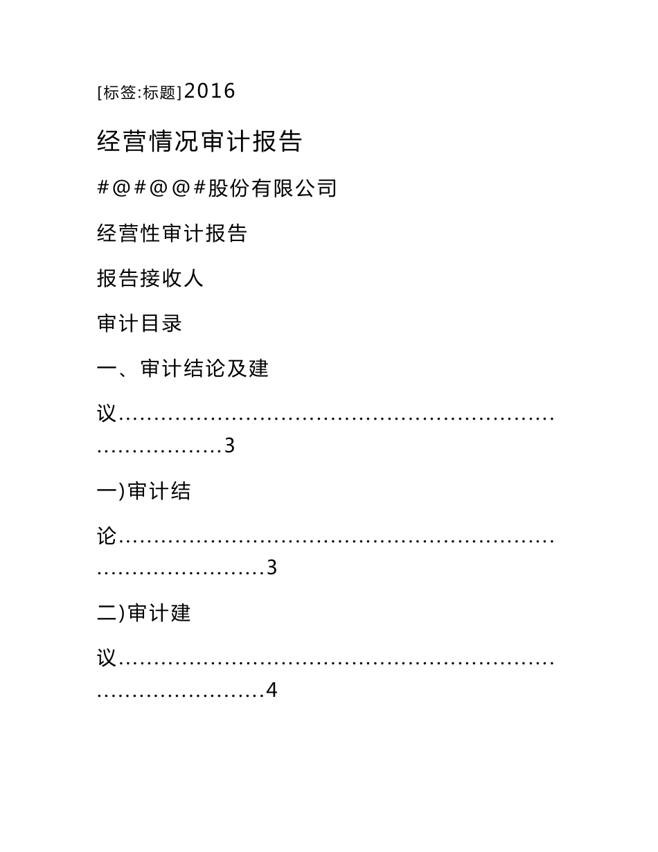 经营情况审计报告_第1页