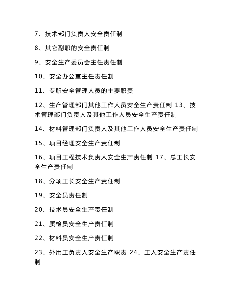 公司各级安全生产责任制、安全生产规章制度及文件、安全生产操作规程_第2页