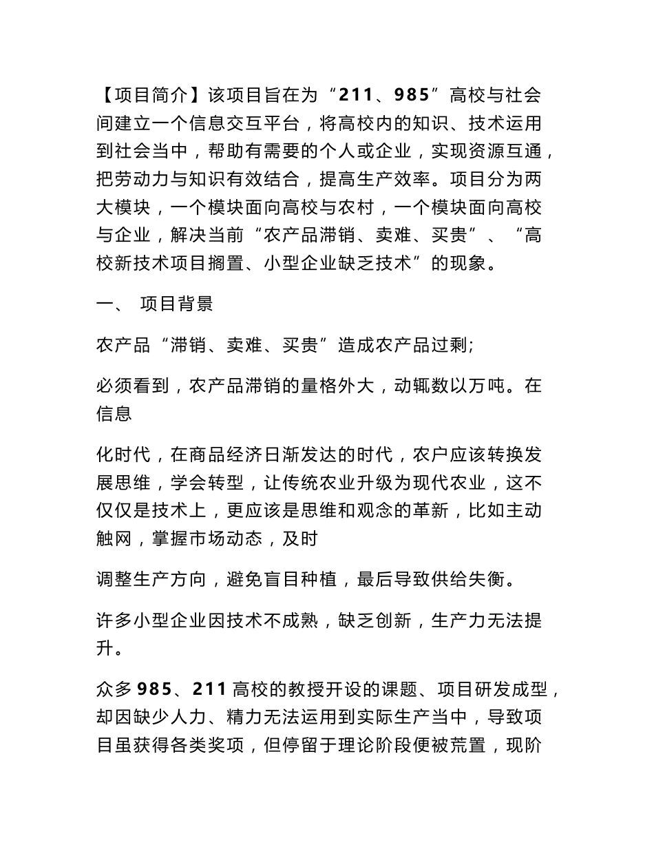 互联网项目计划书_第2页