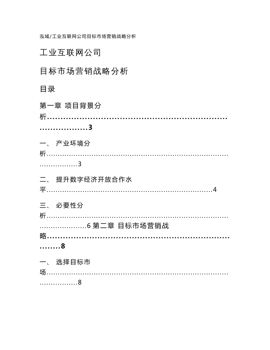 工业互联网公司目标市场营销战略分析（范文）_第1页