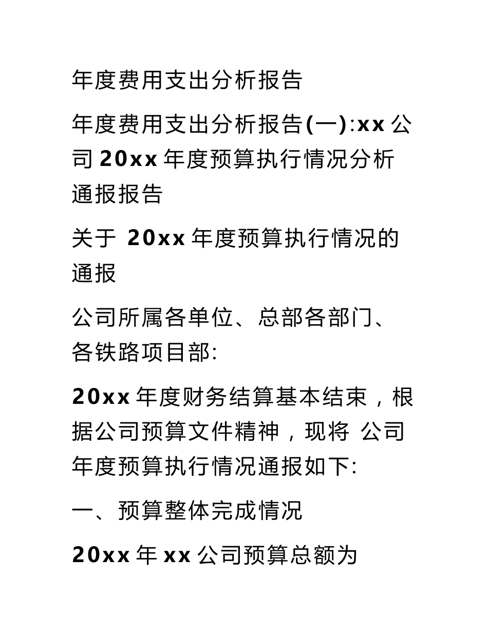 年度费用支出分析报告_第1页