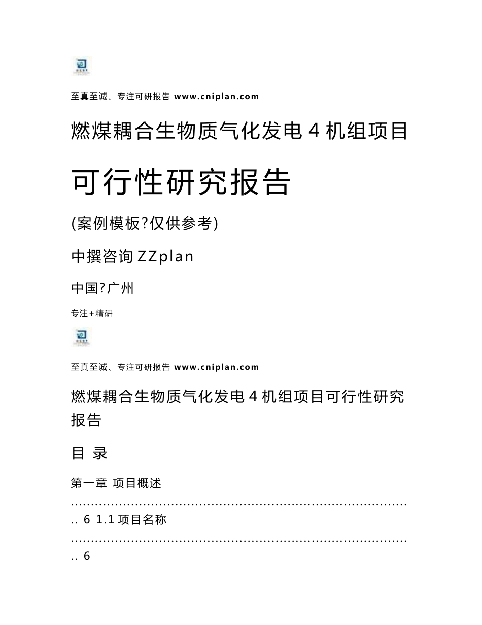 中撰咨询-燃煤耦合生物质气化发电4机组项目可行性研究报告核准立项_第1页