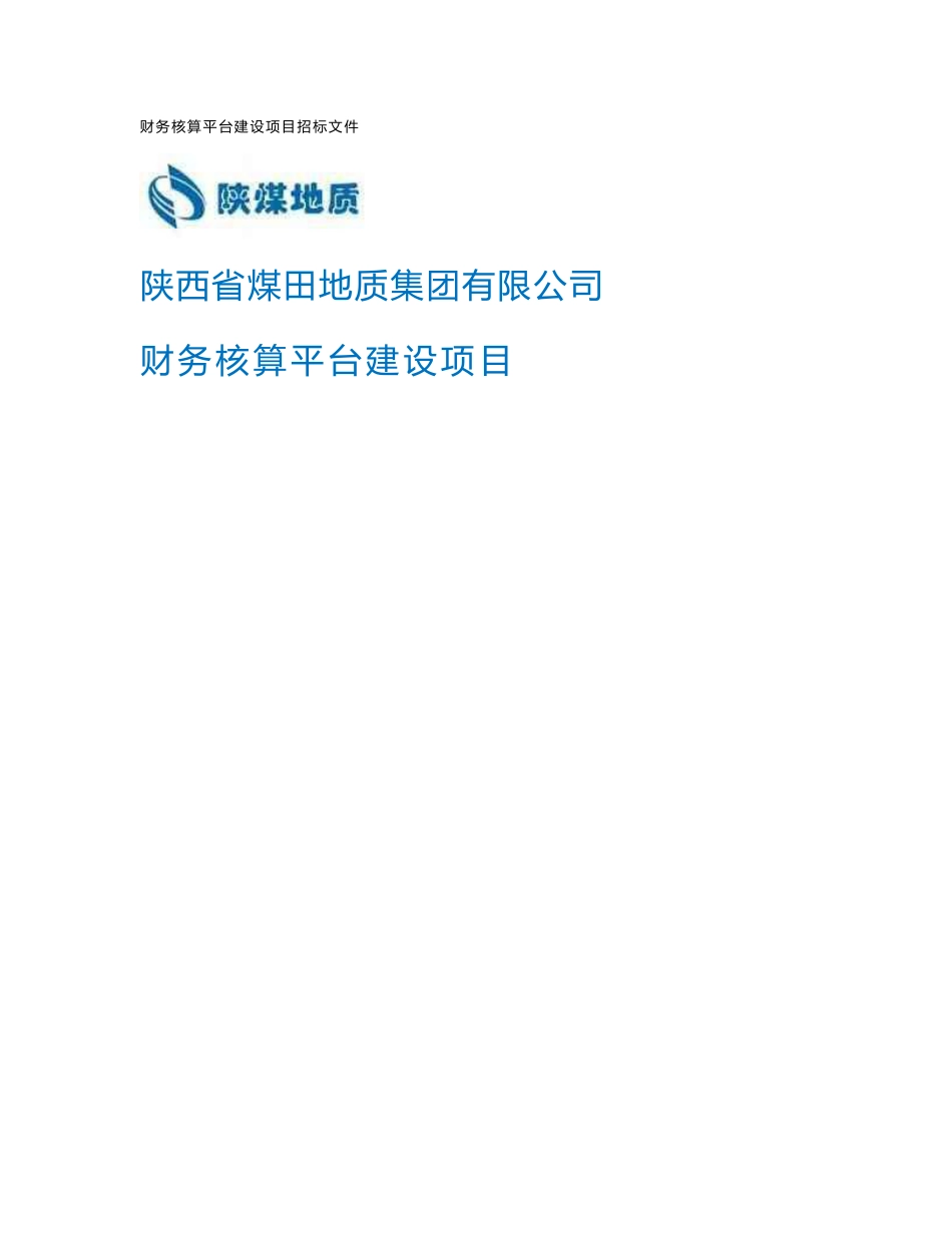 财务信息系统招标文件_第1页