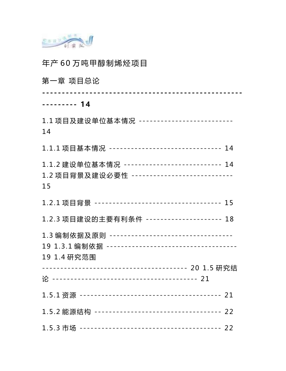 年产60万吨甲醇制烯烃项目可行性研究报告_第1页