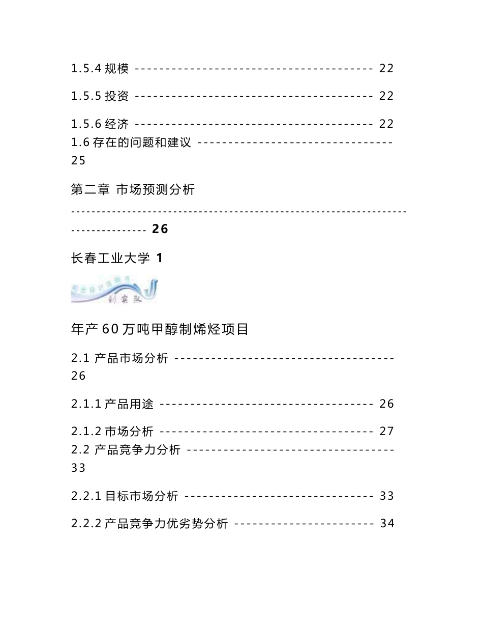 年产60万吨甲醇制烯烃项目可行性研究报告_第2页