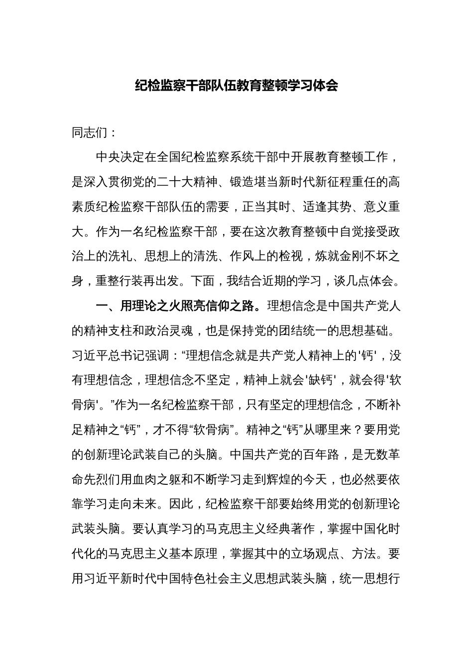 2篇派驻组长纪委书记纪检监察干部队伍教育整顿学习心得体会研讨发言_第1页