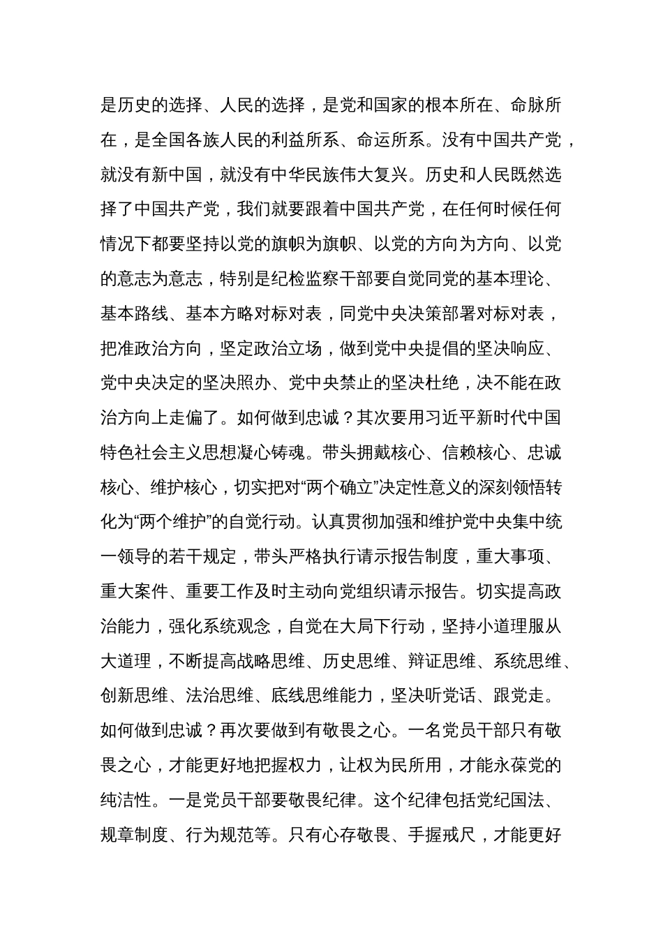 2篇派驻组长纪委书记纪检监察干部队伍教育整顿学习心得体会研讨发言_第3页