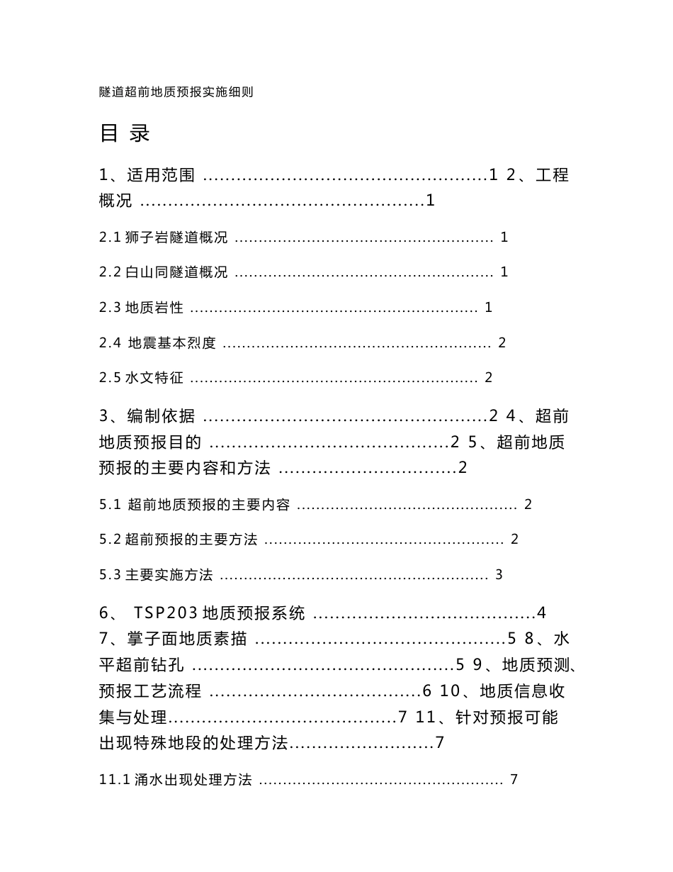 超前地质预报实施细则(经典版)_第1页