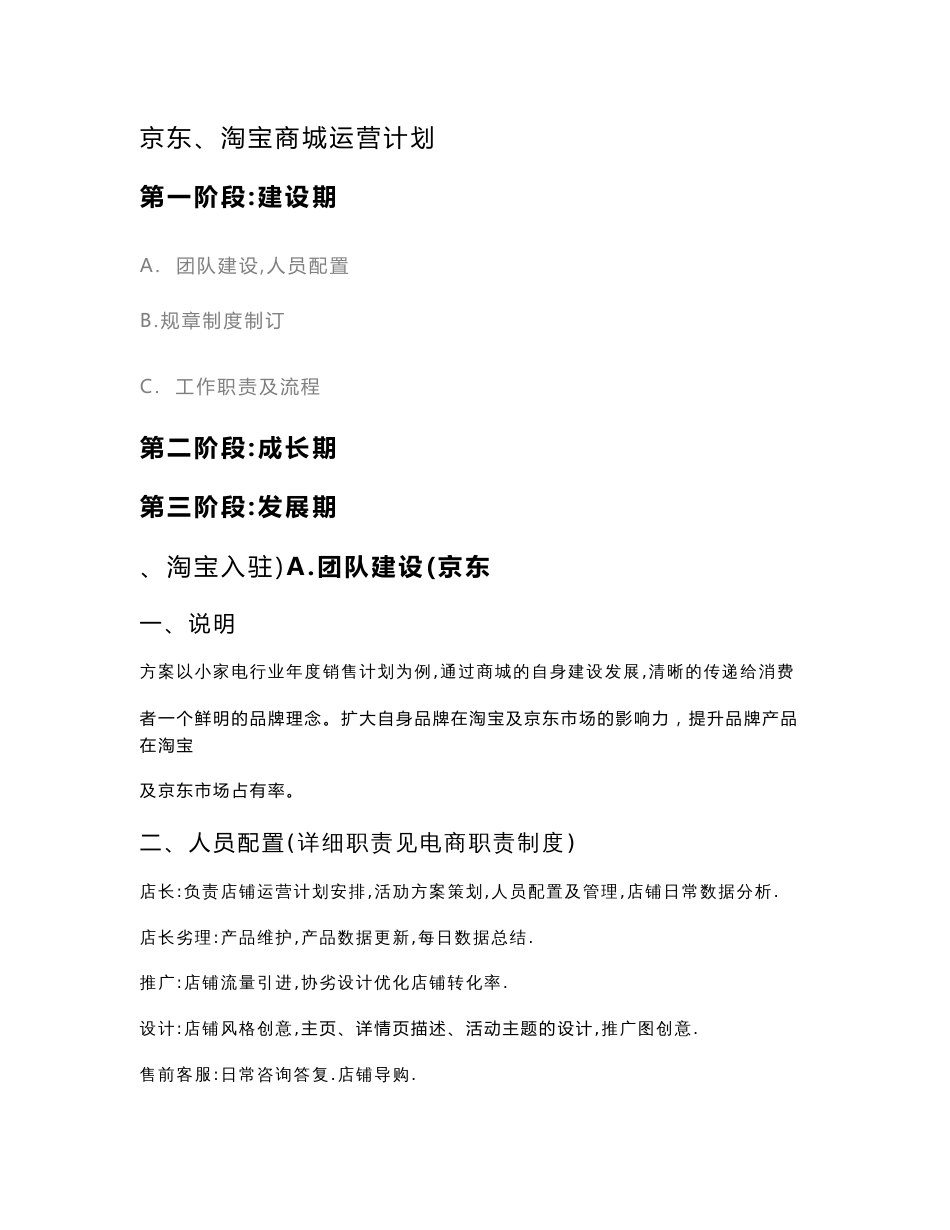 电商京东天猫运营计划方案_第1页