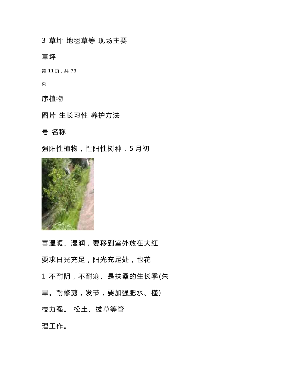 学校绿化养护服务方案_第2页