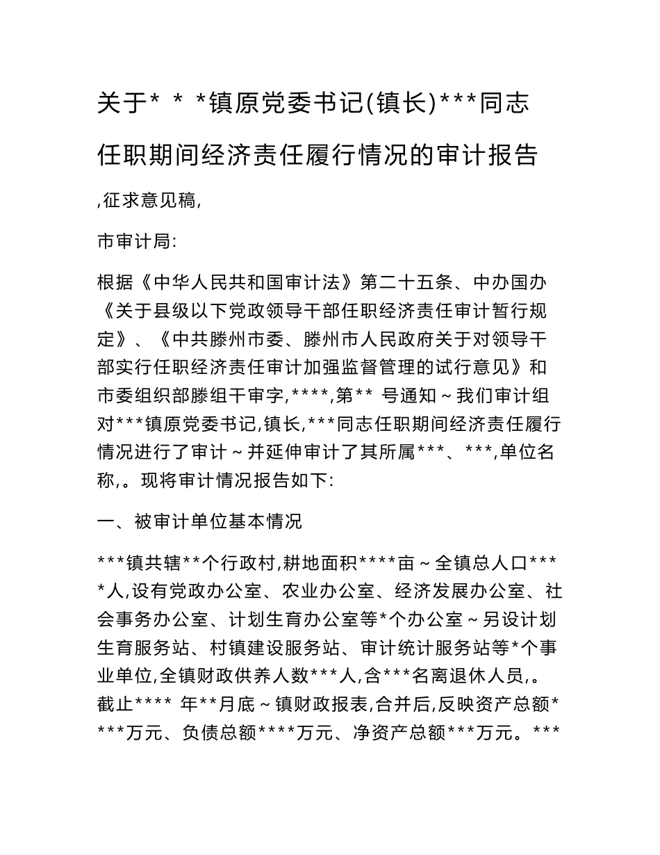 经济责任审计报告模板_第1页