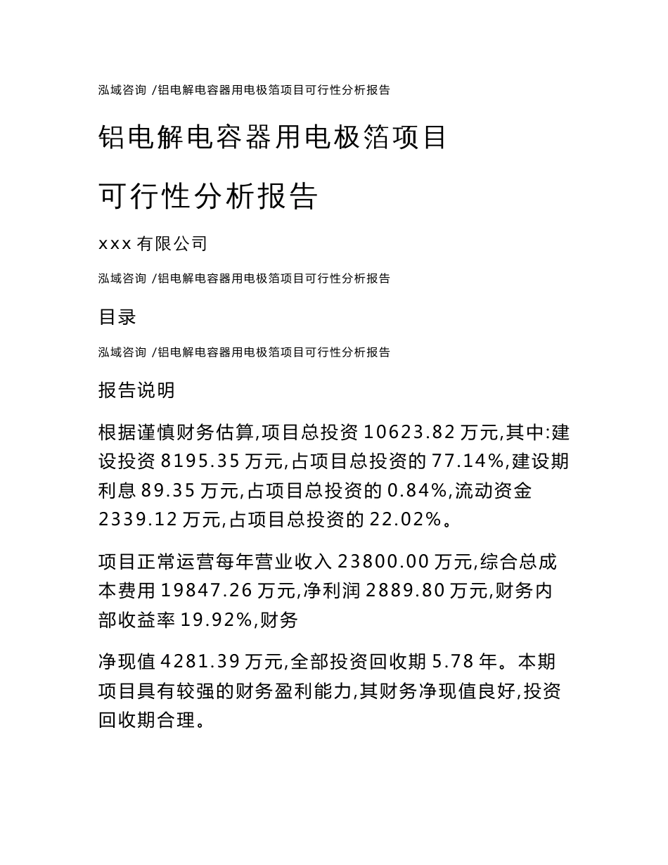 铝电解电容器用电极箔项目可行性分析报告（模板）_第1页