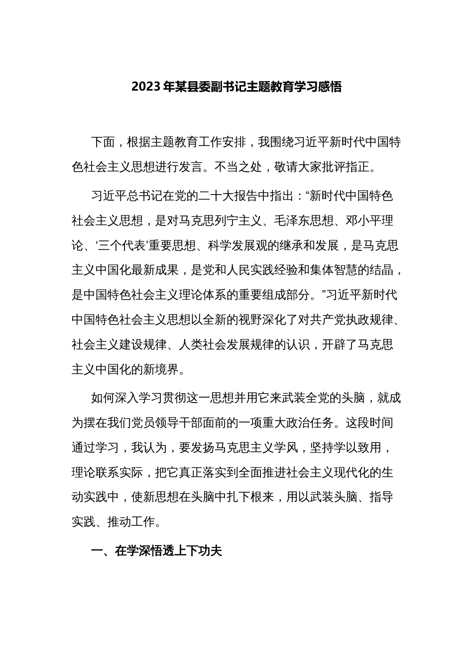 县委副书记2023年学习贯彻新时代中国特色社会主义思想主题教育的感悟研讨发言（心得体会）_第1页