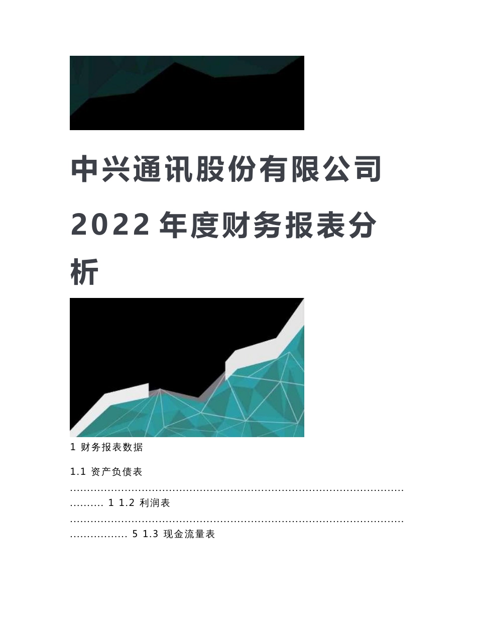 中兴通讯股份有限公司2022年度财务报表分析_第1页