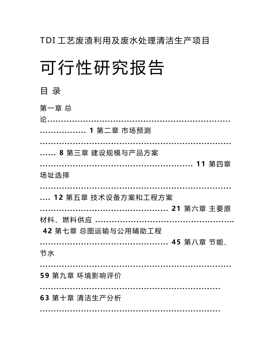 TDI工艺废渣利用及废水处理清洁生产项目可行性研究报告_第1页